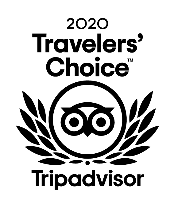 Travelers Choice 2020